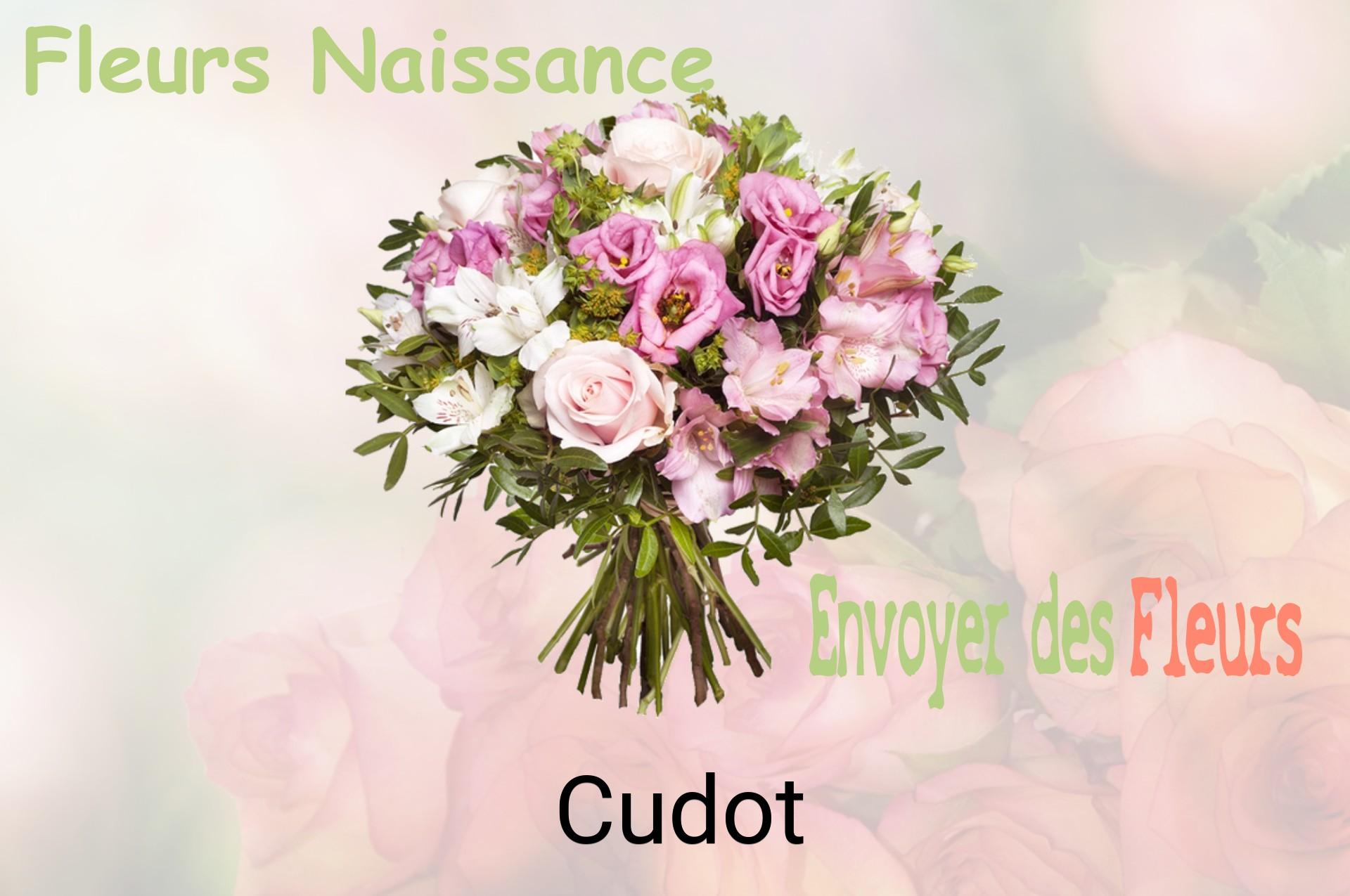 Bouquet de fleurs de naissance livré à Cudot