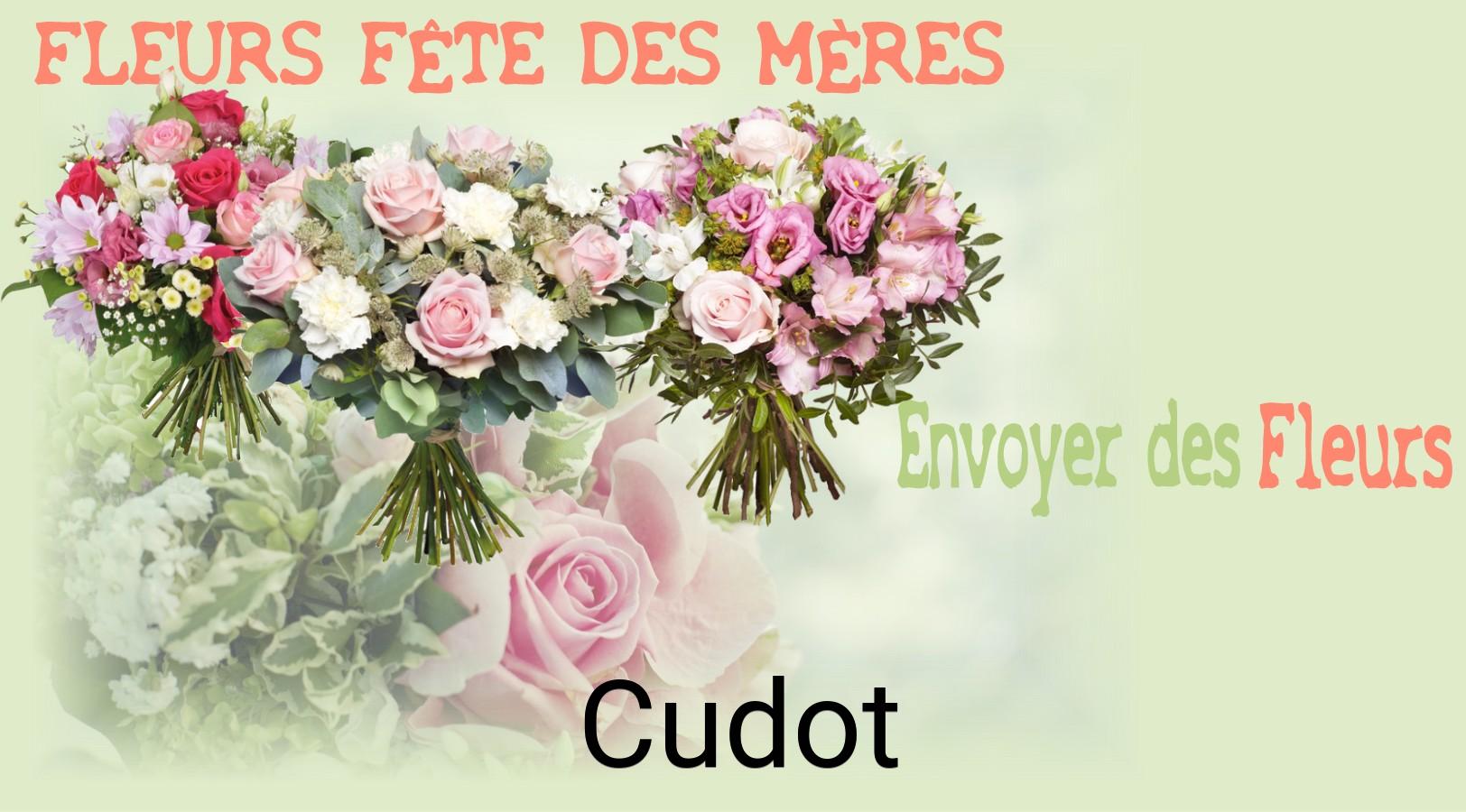 Bouquet de Fête des Mères livré à Cudot